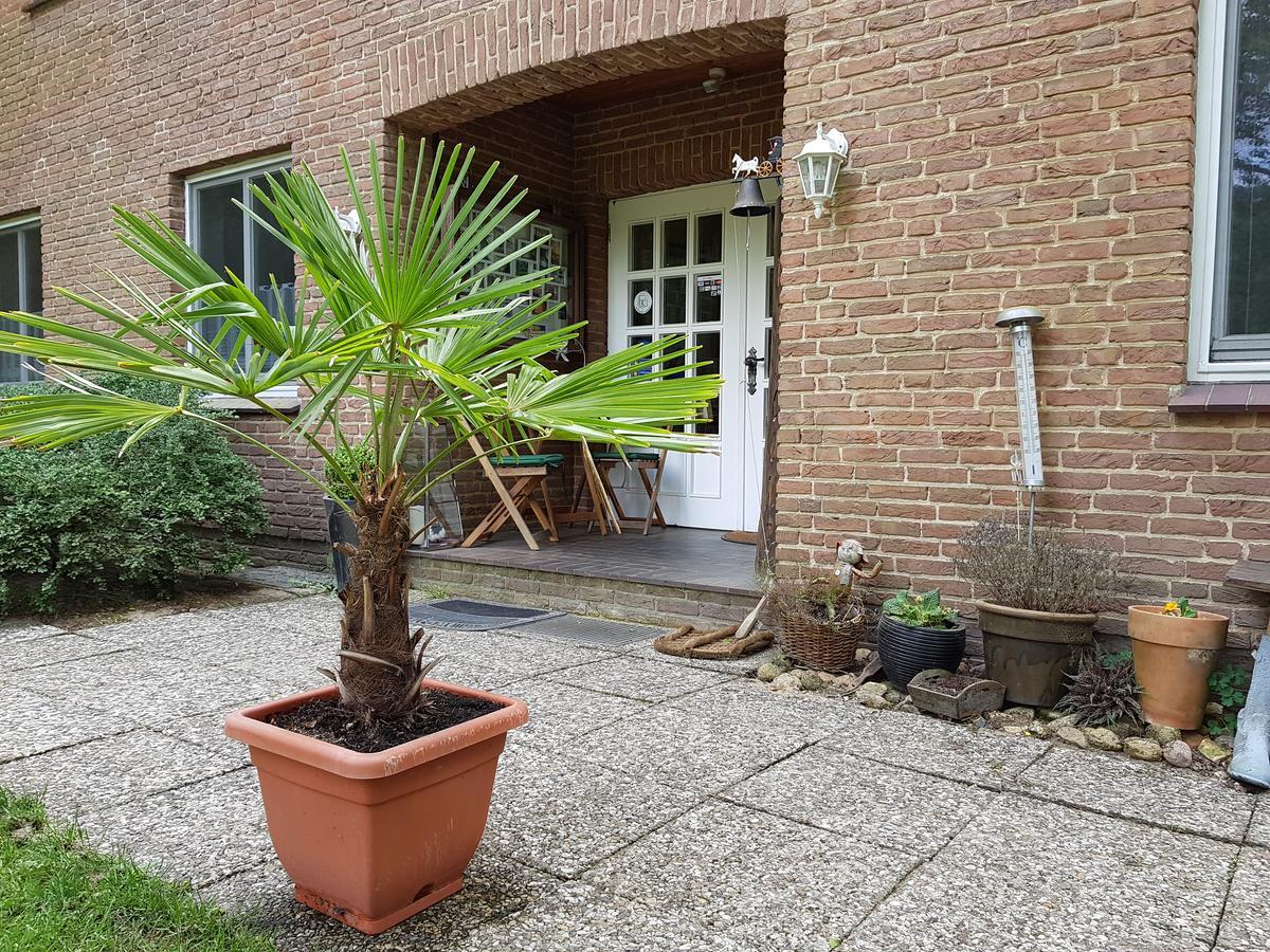 Pension 'Das Kleine Landhaus' Oberhaverbeck Zewnętrze zdjęcie