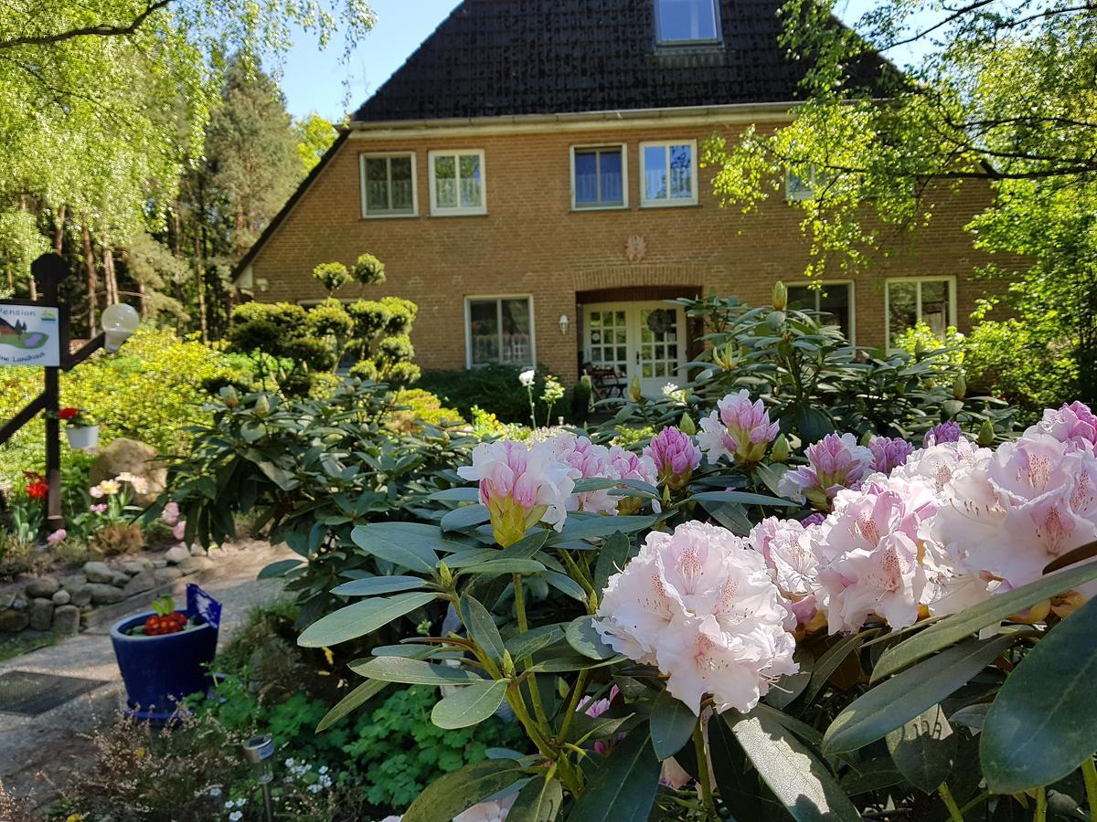 Pension 'Das Kleine Landhaus' Oberhaverbeck Zewnętrze zdjęcie